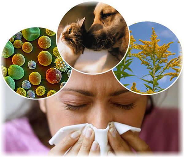 Основные причины развития аллергического ринита