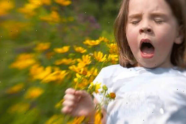 При контакте с аллергеном у ребенка развивается аллергический ринит
