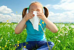 Одна из разновидностей насморка - аллергический насморк